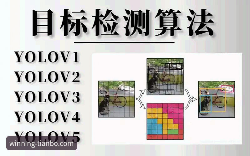 天博体育平台使用教程深度分析：从入门到精通的全面解析